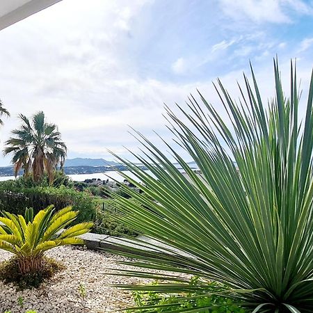 Magnifique Appartement Vue Mer - Grande Terrasse Et Piscine Bandol Zewnętrze zdjęcie