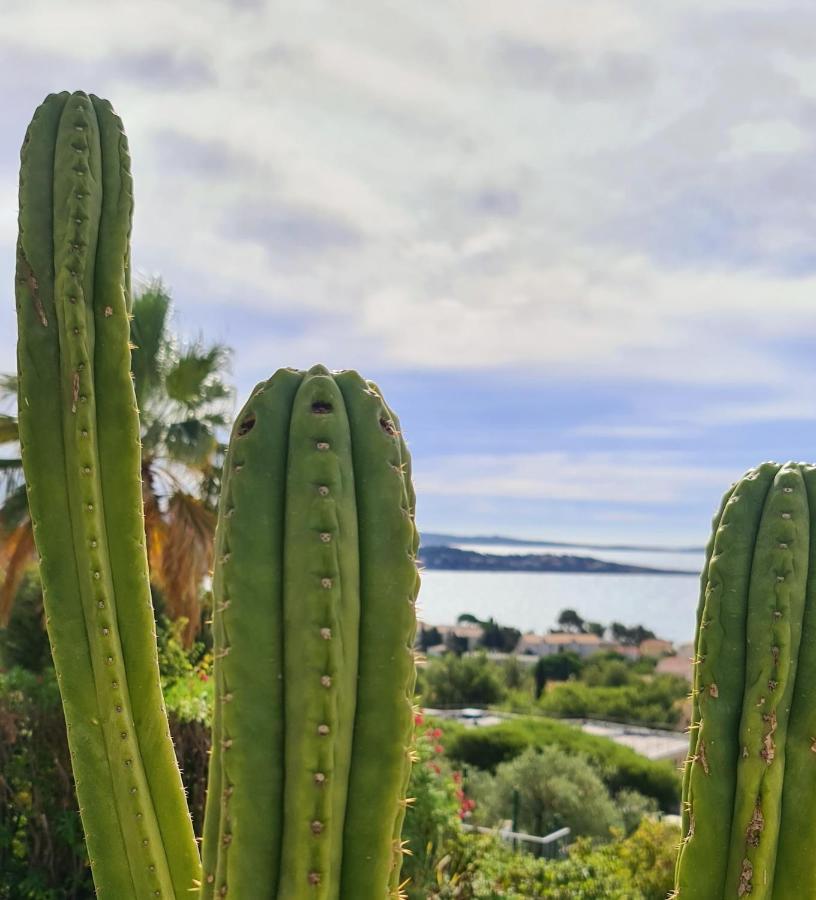 Magnifique Appartement Vue Mer - Grande Terrasse Et Piscine Bandol Zewnętrze zdjęcie