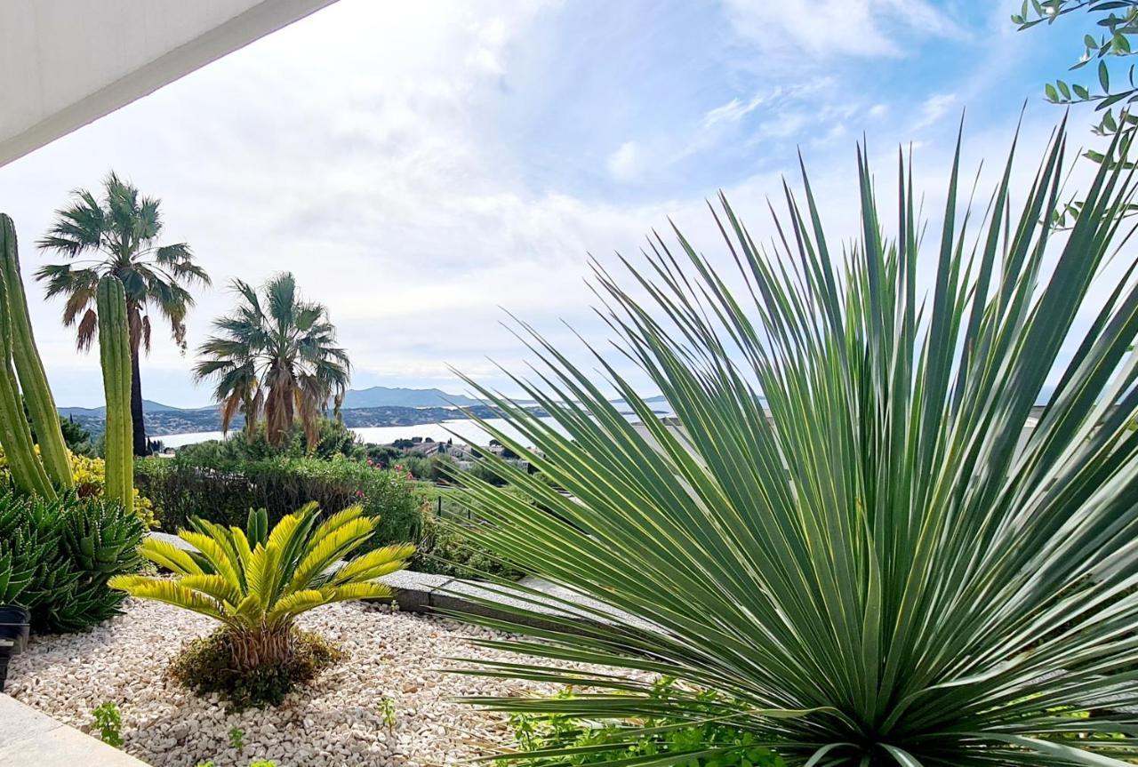 Magnifique Appartement Vue Mer - Grande Terrasse Et Piscine Bandol Zewnętrze zdjęcie